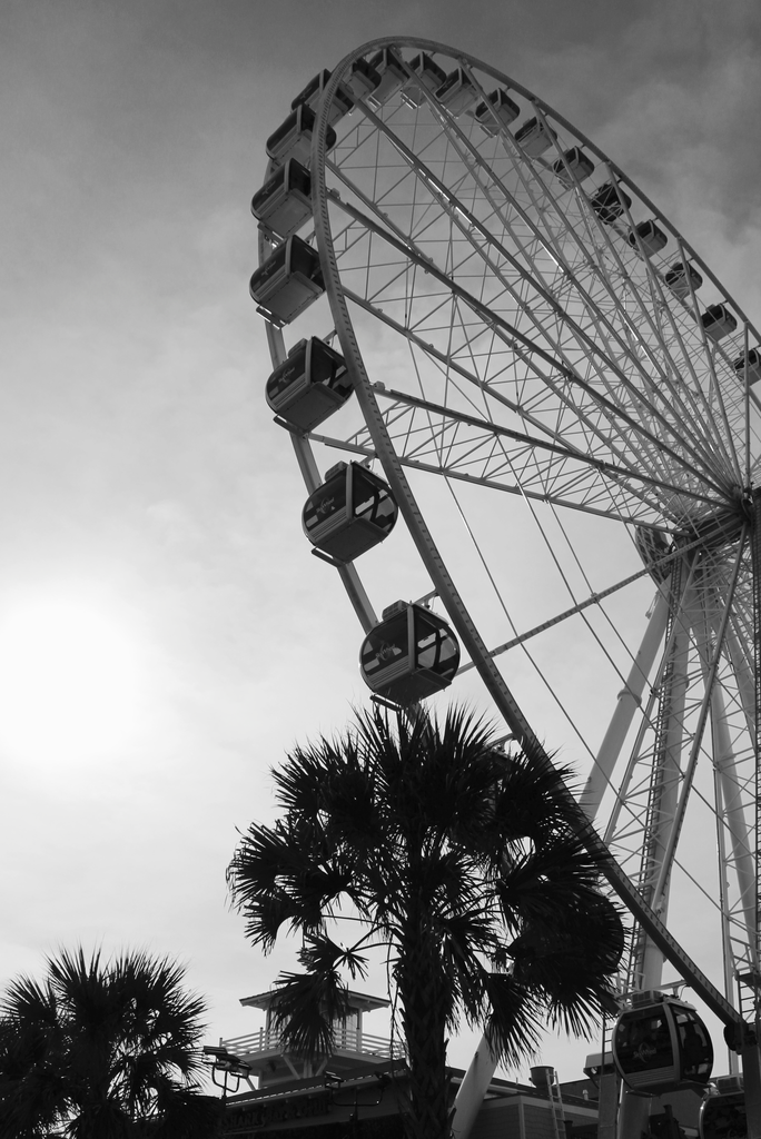 Ferris Wheel