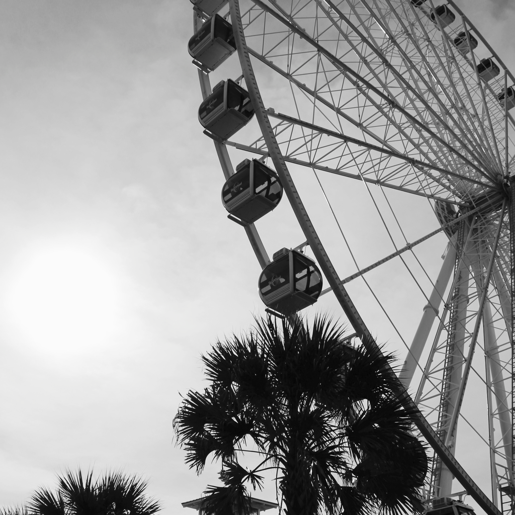 Ferris Wheel