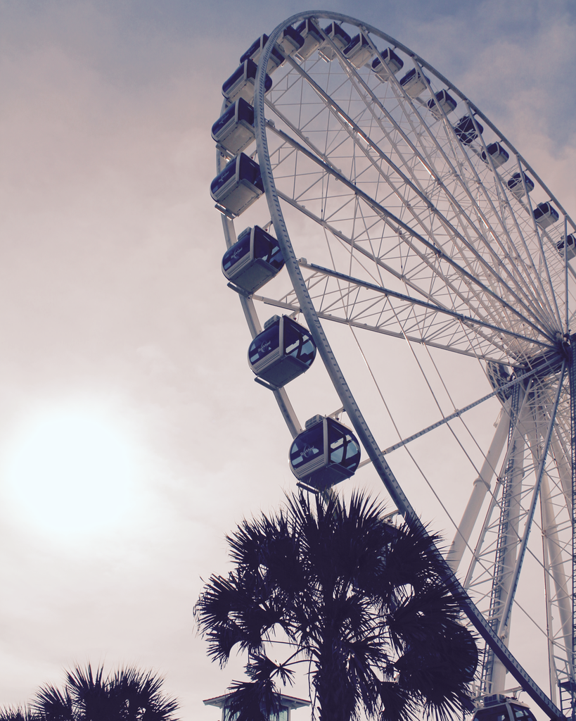 Ferris Wheel