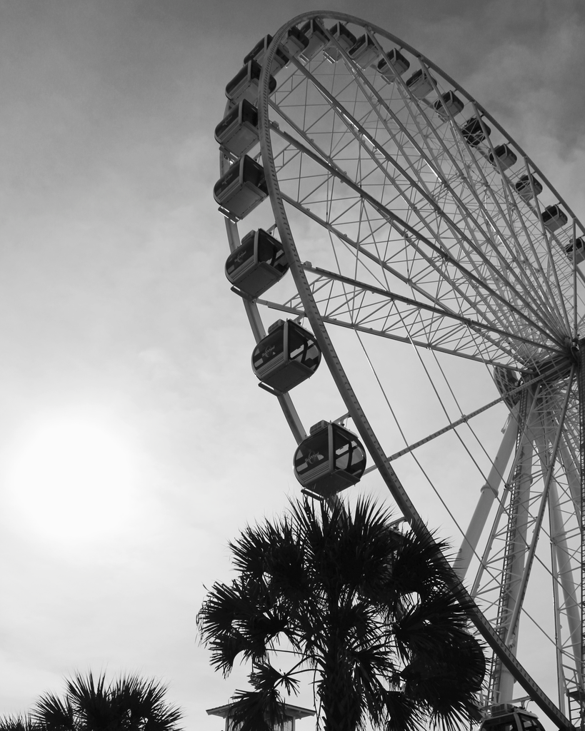 Ferris Wheel