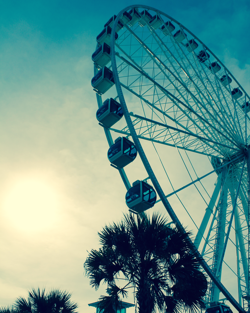 Ferris Wheel