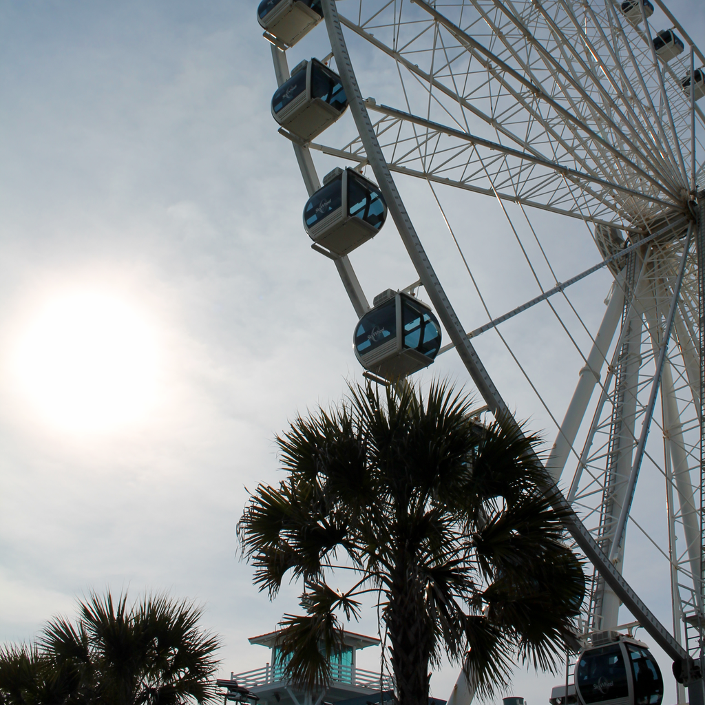 Ferris Wheel