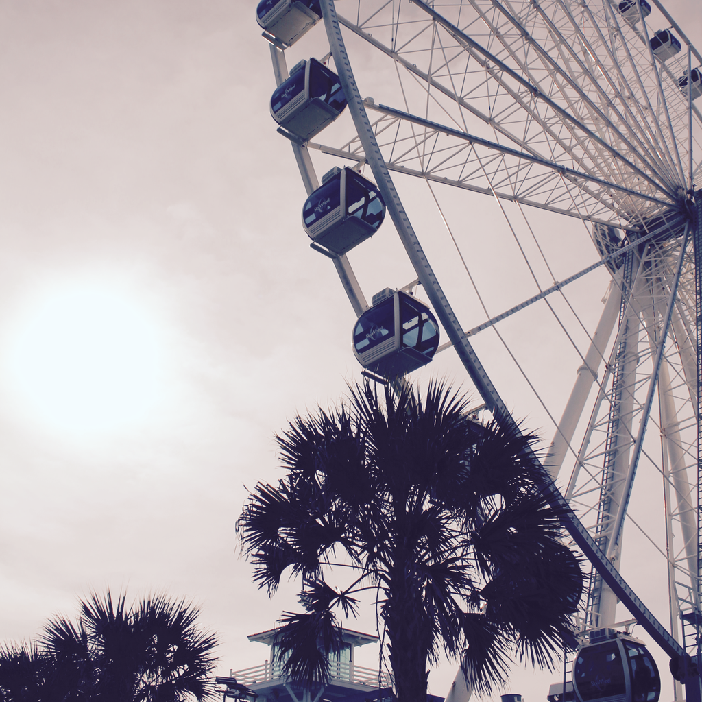 Ferris Wheel