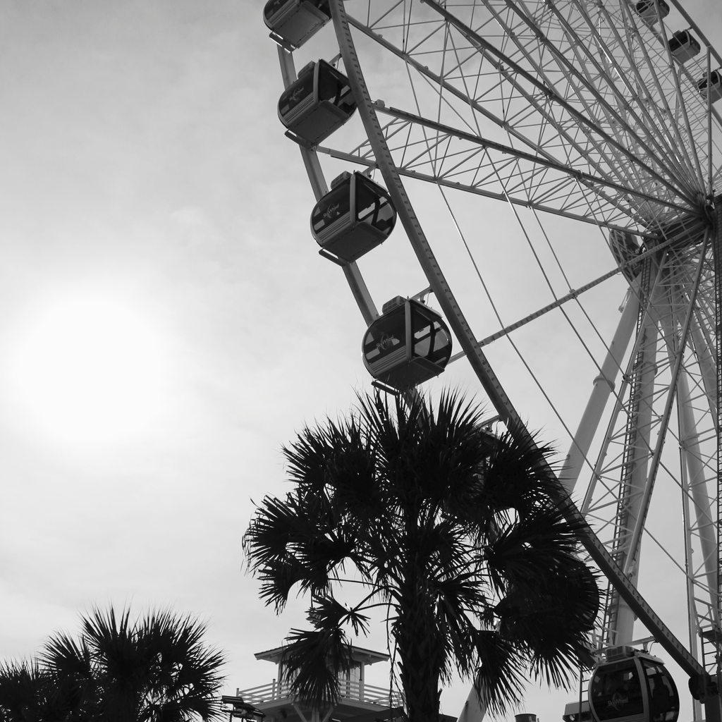 Ferris Wheel