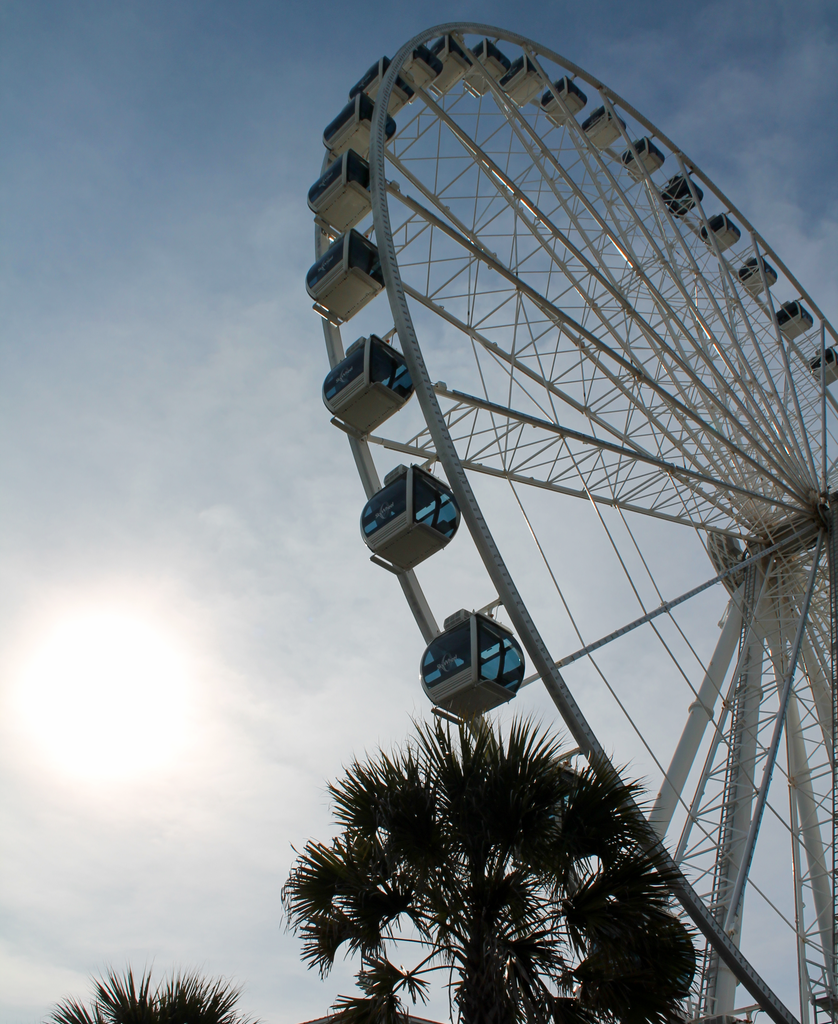 Ferris Wheel