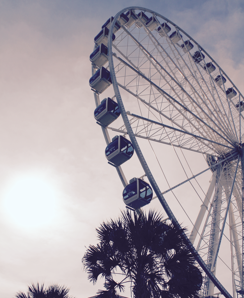 Ferris Wheel