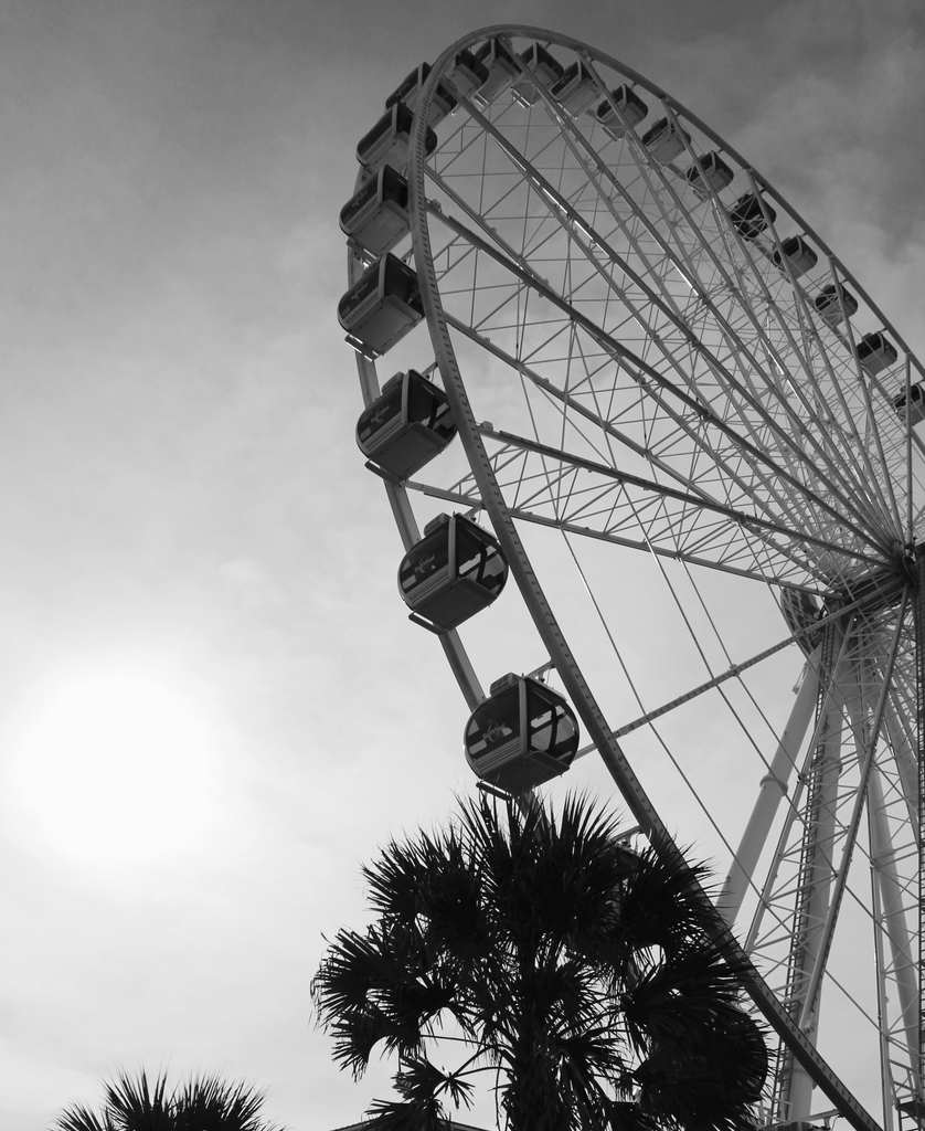 Ferris Wheel