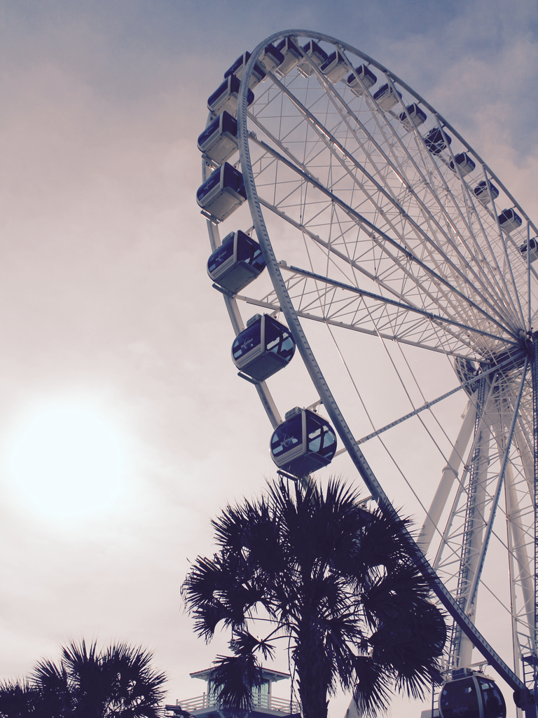 Ferris Wheel