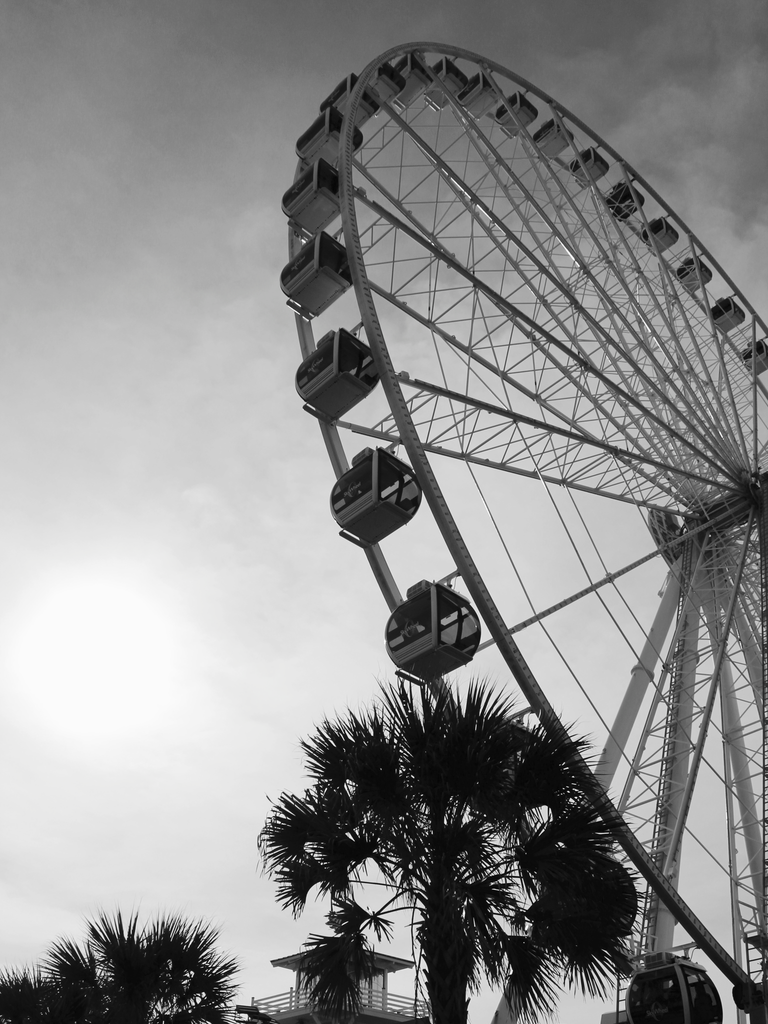 Ferris Wheel