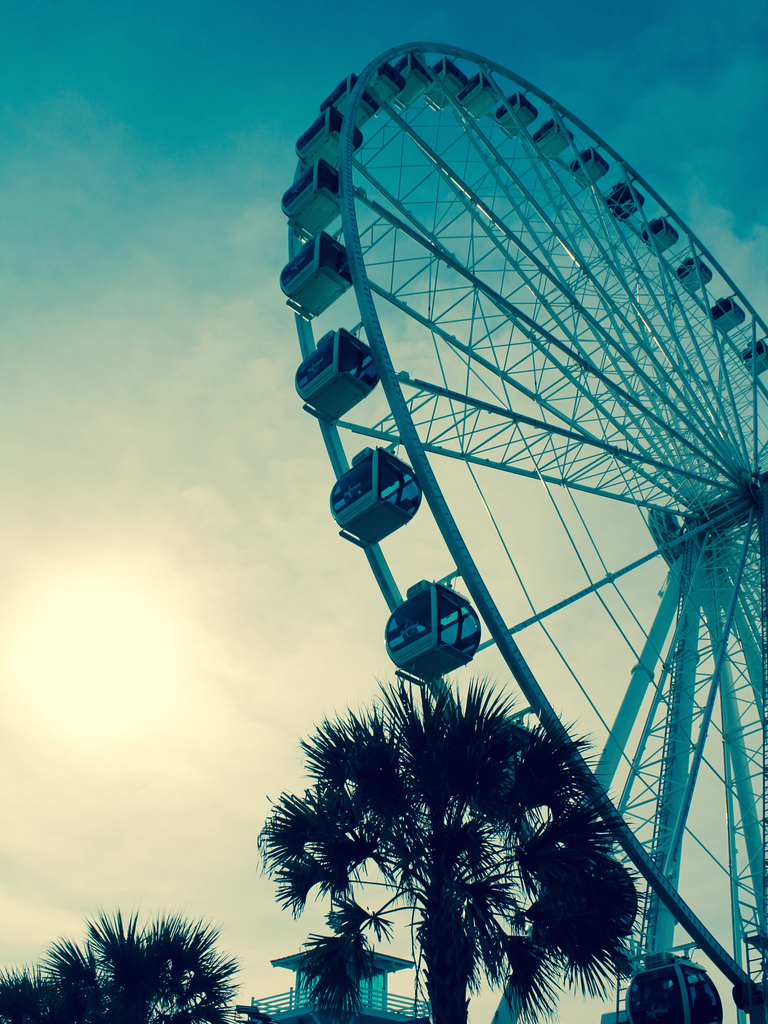 Ferris Wheel