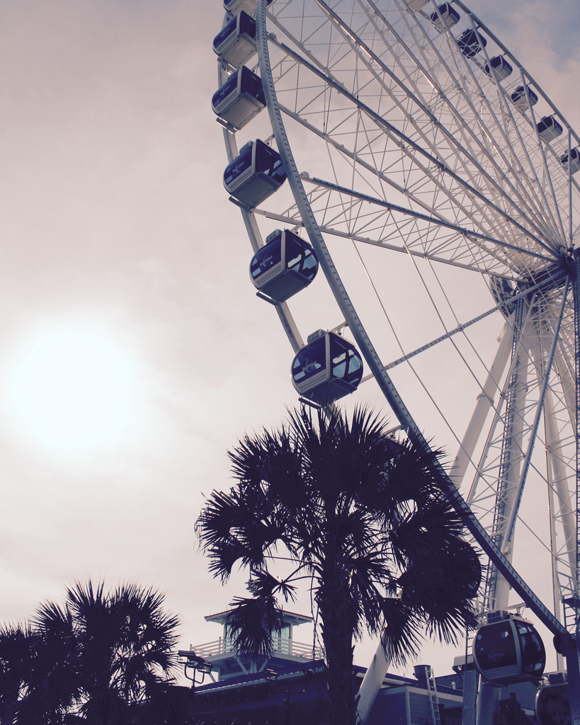 Ferris Wheel