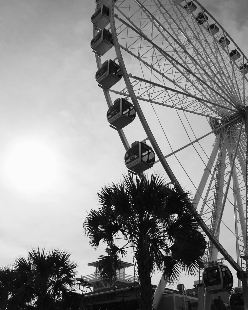 Ferris Wheel